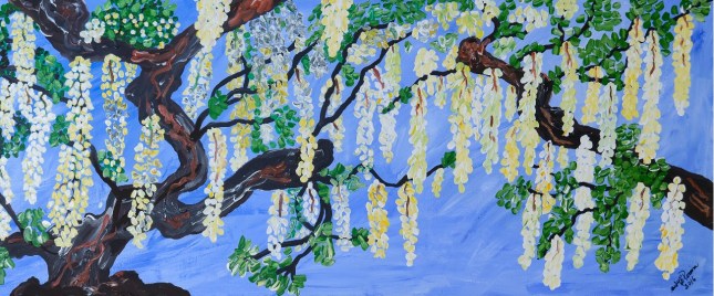 blanka lolita - andy